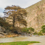 img_0483-crop-u14409-150x150