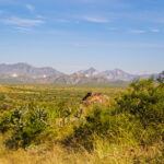 img_3754-crop-u14293-150x150